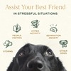 Breedwise Pet Provisions Dog Calming Treats, All Natural Holistic Dog