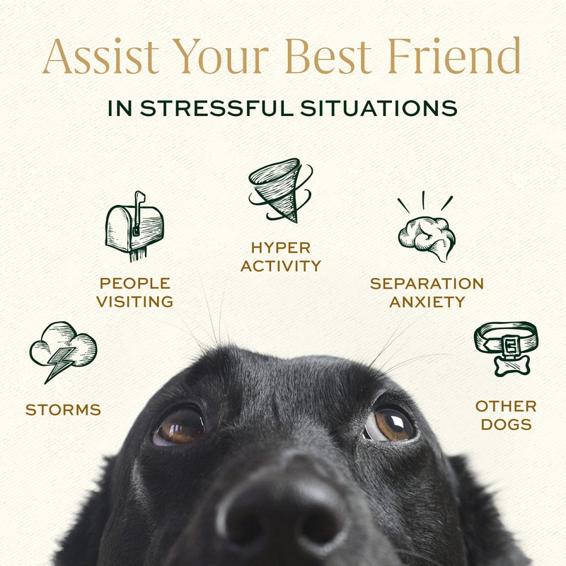 Breedwise Pet Provisions Dog Calming Treats, All Natural Holistic Dog