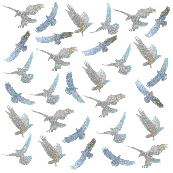 EACILLES 衝突防止ウィンドウステッカー 30枚 鳥よけ窓用 ガラス警告ウィンドウデカール 鳥の衝突防止 窓に鳥を撃退 イーグル型