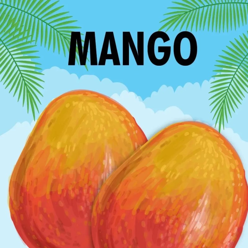 Shampoo 2 En 1 Smoothie Mango Naranja L'oréal Kids 265ml