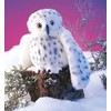 Folkmanis Snowy Owl Hand Puppet, Standard Packaging, White, Black