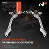 A-Premium Front Driver and Passenger Hood Hinges Compatible with Ford