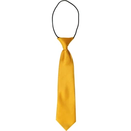 AAMERA Kids Elastic Neckties, Toddlers, Boys, Girls, Preschoolers, Weddings, Birthdays, Graduations, Communions (Yellow)