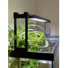 Fluval Risers Fluval Plant & Marine AquaSky LED Light 3.0