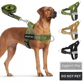 Eyein Dog Harness with Lead for Large and Medium Dogs, Adjustable Anti-Pull Chest Harness with Soft Padding, Reflective Harness with Front Clip for Walks and Training, Green, L
