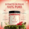 Commons Hongos Adaptógenos - Hongo de Baya Schisandra - Extracto