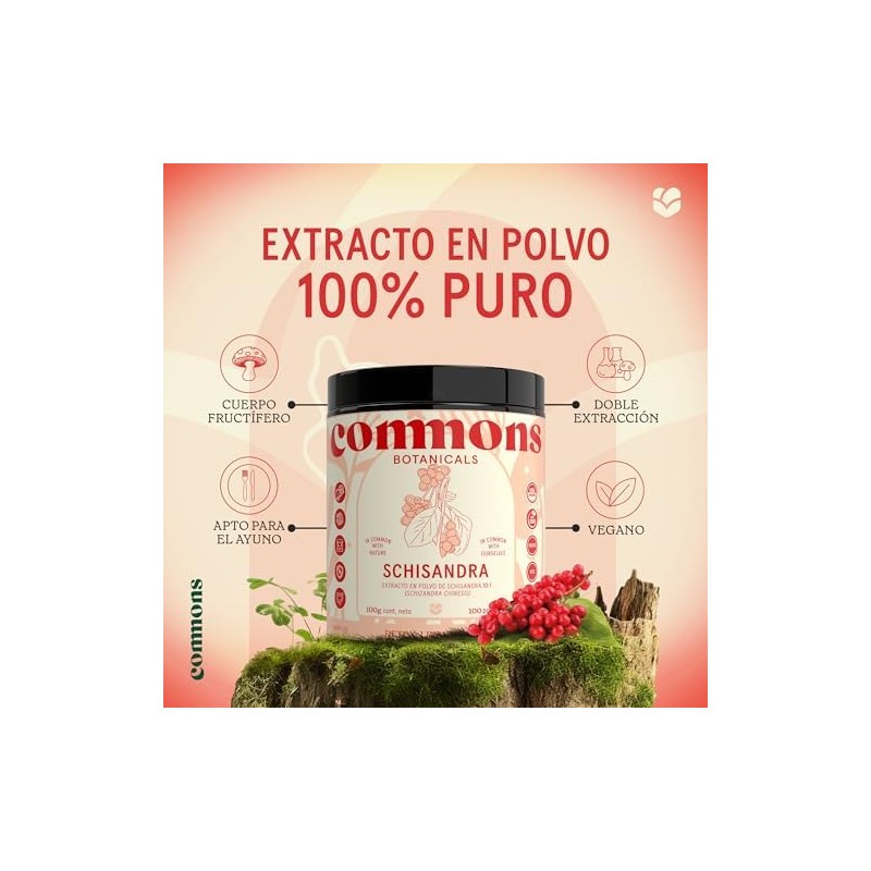 Commons Hongos Adaptógenos - Hongo de Baya Schisandra - Extracto