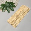 Mikankawa Plastic Model Paint Stick, Assembly Required, Bamboo Skewers, 1.4