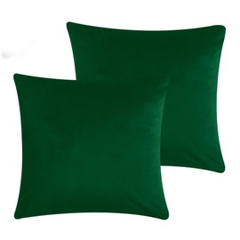 Moonlight Bedding Green Cushion Covers 45 x 45 CM Pack of 2 Velvet Soft Decorative Square Throw Pillow Case Luxury Pillowcases for Livingroom Sofa Bedroom with Invisible Zipper (18" x 18")