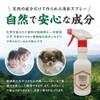 [Hinokio] Hinoki Deodorizer, 10.1 fl oz (300 ml)