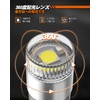 SEALIGHT T10 License Lamp