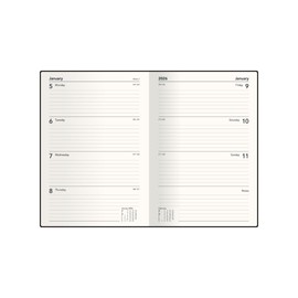 Collins 'Bella Ramsey Cat' 12 Month Planner, July 2025-July 2026 Week-to-View Diary, A5 Hard Cover, Window