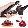 Cherry Pitter, Heavy-Duty Stainless Steel Cherry Olive Pitter Tool, Easy