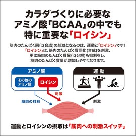 ロイシン (500g) SAVE 高純度 ロイシン パウダー 粉末 アミノ酸 L-ロイシン 無添加 500g