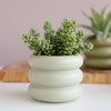 SANDYBAYTAS Ceramic Plant Pot Indoor, 4.5 Inch Flower Pot with