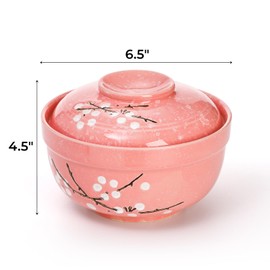 Goaste 2 Pack Ceramic Ramen Noodle Bowl, 27 OZ Big Ramen Bowl with Lid, Japanese Hand-Painted Ceramic Tableware, Durable Floral Soup Bowl for Noodles, Porridge, Rice, Dishwasher Safe(Pink, Cyan Blue)