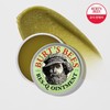Burt's Bees (+시카스틱 증정)버츠비 레스큐 오인트먼트 (+Free Cica Stick) Burt's Bees Rescue Ointment
