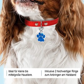 Iberiagifts Dog Tag Paw with Engraving for Small to Medium Dogs or Cats, Engraved Plaque