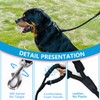 Aiminto Dog Leash, Braided Rope Traction – Walking Training Lead