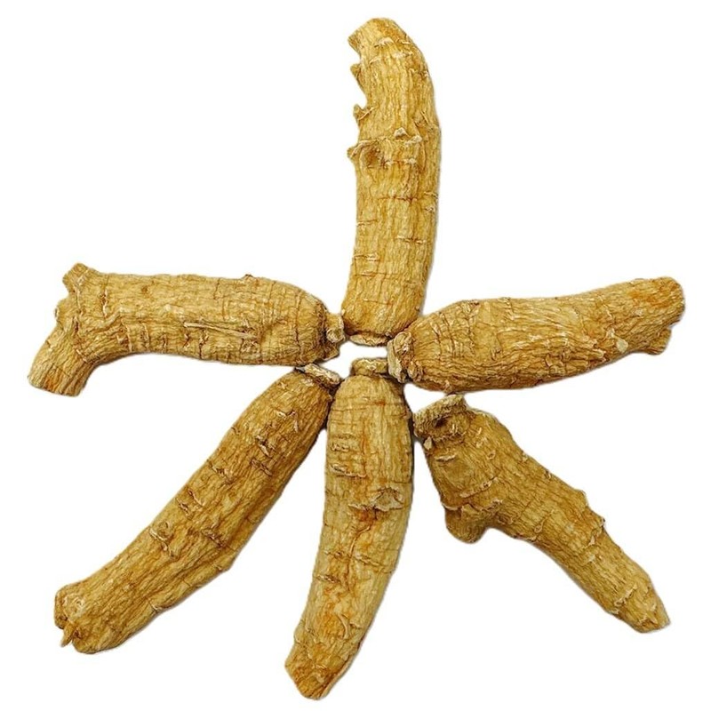 Hand Selected A Grade American Ginseng Root Large Short (4