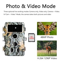 BLAZEVIDEO Wildlife Camera 48MP 1296P Night Vision Camera Deer Camera with Night Vision Motion Sensor for Hunting Forest Surveillance Research Password Protection IP66 Waterproof