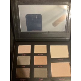 Mally 8 Pan Eyeshadow Palettes+8 Quad +1 Make Up Bag +3 Posh Pink Lip Crayon WOW