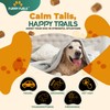 FURRY FUELS Calming Chews for Dogs - Dog Calming Chews,