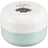Takenaka Bento Box, Mamma, Rice Ball Case, Mint, 9.2 fl