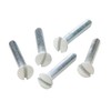 Leviton 88500-PRT 7/8-Inch Long 6-32 Thread, Oval Head Milled Slot