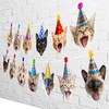 Cat Party Garland Cat Faces Birthday Garland Kitties Birthday Party