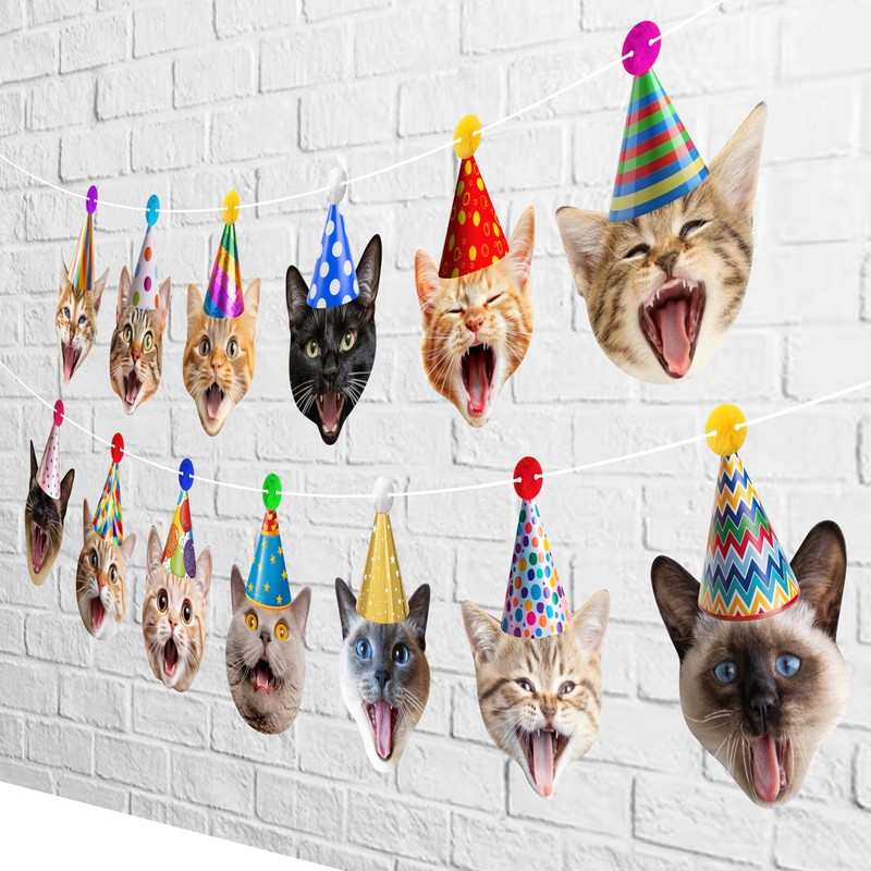 Cat Party Garland Cat Faces Birthday Garland Kitties Birthday Party