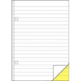 AVERY Zweckform 1729 Durchschreibbuch (A5, selbstdurchschreibend, 2x40 Blatt) weiß/gelb