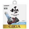 Carmate BD1032N Car Halogen Headlight GIGA Air Neo H8 4,200