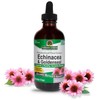 Natural's Answer EcinacceRoot & Golden Seal, Alcoho-Free, 120 ml