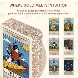 BWTY Best wishes to you Cat Tarot Cards for Beginners with Meanings on Them Beginner Guided Cute Tarot Deck with Gold Foil Edge Standard Size