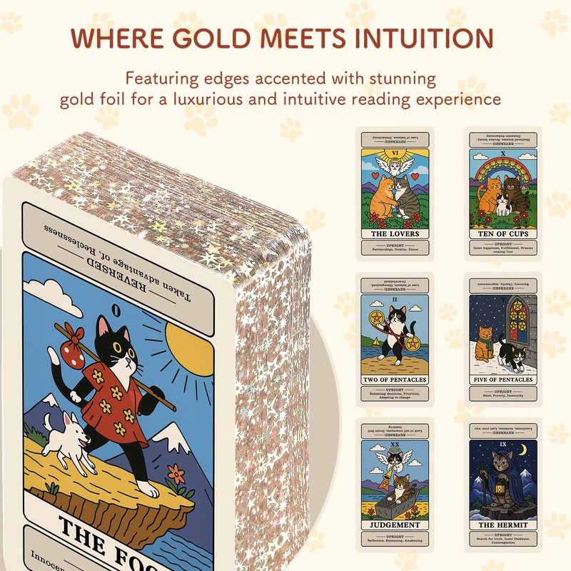 BWTY Best wishes to you Cat Tarot Cards for Beginners