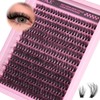 ALICE 336pcs Lash Clusters Fluffy Thick 60D Cluster Eyelash Extensions