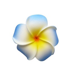 Generic 3pcs 3.5 Inch Women's Fashion Hawaiian Plumeria Flower Foam Hair Clip, 90mm (Blue, White & Yellow) Fashion Headpiece, Pink