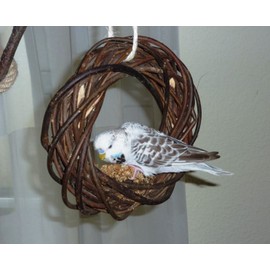 Vogelgaleria® Delicious Willow Ring for Nibbling for Budgies, Cockatiels etc. Willow Wicker Bird Toy for the Aviary or Bird Cage Budgie Bird Playground for Hanging