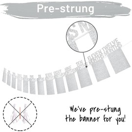 1st Birthday Photo Banner for Baby from Newborn to 12 Months, First Birthday Decorations Boy or Girl Monthly Milestones Garland | First Birthday Photo Banner Pre-Strung with Frame (Silver1)