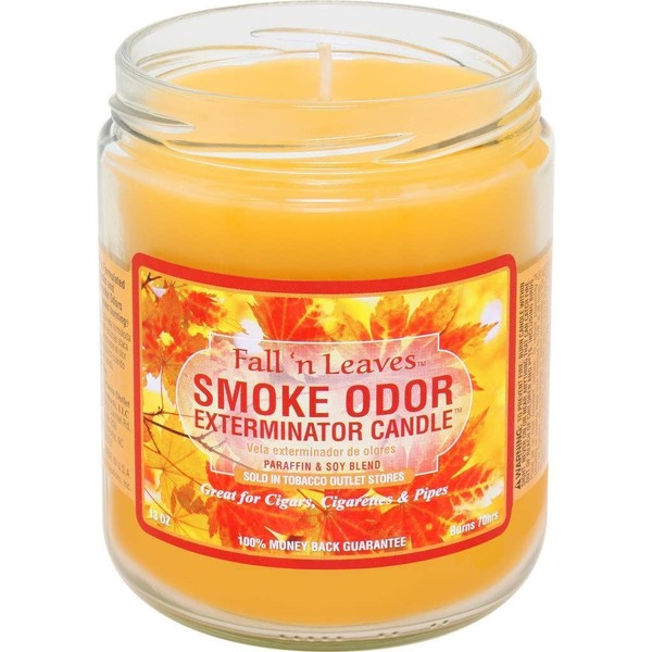 Smoke Odor Exterminator (Fall N Leaves, 1 13oz Jar Candles, 1, 13 Ounce