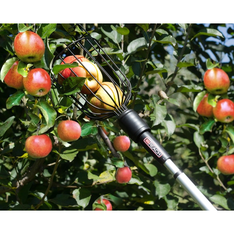 In Reach Pole and Fruit Picker