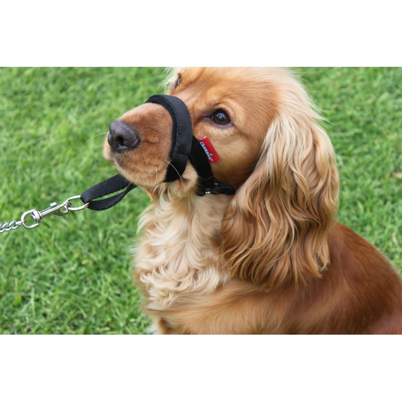 Headcollar Dog Halter/Training Head Collar Training Tool Dog, Head Harness