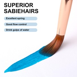 Paint Brush Set 6 Different Shapes for Watercolor Rock Face Painting Brush, Artist Craft Brush Supplies, Paint Brush Set for All Purposes Adult Painting