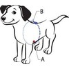 The Original Sense-ation No-Pull Dog Training Harness (Blue, Medium-Large Narrow)