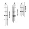 Gardening Climbing Vine Plant Climbing Vine Trellis for Climbing Plants