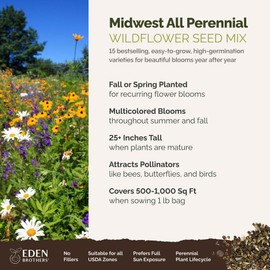 Eden Brothers Midwest All Perennial Wildflower Mixed Seeds for Planting, 1 lb, 480,000+ Seeds with Hyssop, Shasta Daisy | Attracts Pollinators, Plant in Spring or Fall, Zones 3, 4, 5, 6, 7, 8, 9, 10