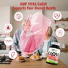GMP Vitas High Potency CoQ10 500mg Veggie Capsule，Antioxidant for Heart