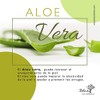 Neem Cremas Faciales Día y Noche