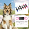 Pack de 3 Custom Slide On Silent Pet ID Tags,
